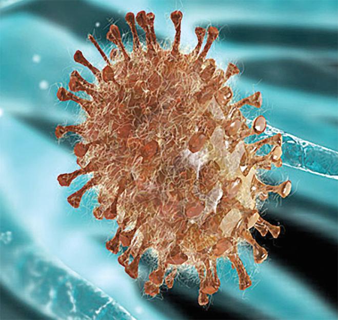 Why capitalism is dangerous to your health