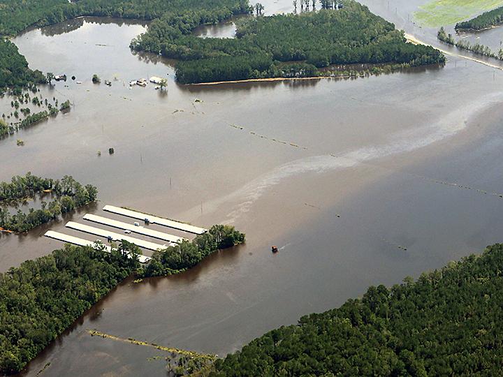 Agricultural waste spills into a North Carolina river during the flooding caused by Hurricane Florence
