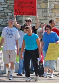 Protesters marching against Monsanto in Michigan last year